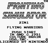 Fighting Simulator 2in1 - Flying Warriors
