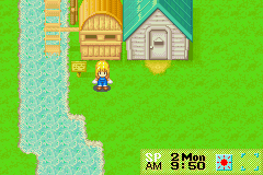 Harvest Moon - More Friends of Mineral Town