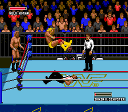 WWF Super Wrestlemania